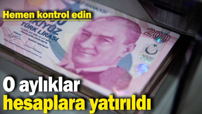 Yaşlı ve engelli aylıkları hesaplara yatırıldı: Hemen kontrol edin
