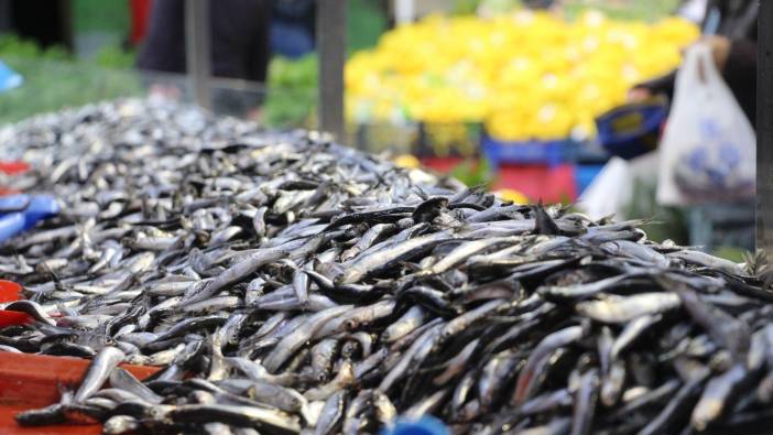 Bolu'da hamsinin fiyatı 50 lira birden düştü: Rağbet arttı