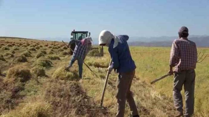 2025 'Çiftçi Kayıt Sistemi' başvurularında son gün 31 Aralık