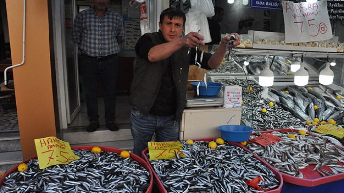 Bartın'da hamsinin kilosu 7,5 liraya düştü