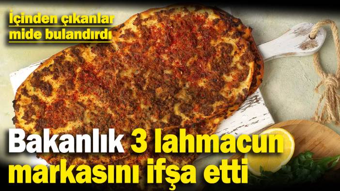 Çember daralıyor! Bakanlık bu kez de 3 meşhur lahmacun markasını ifşa etti