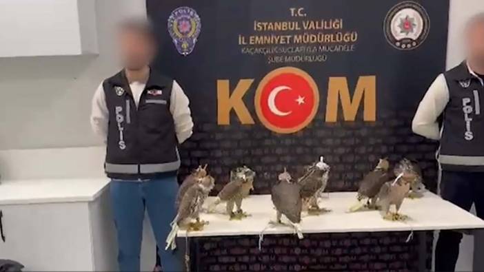 Türkiye’den kaçırdıkları gökdoğanları yurt dışında 100 bin dolara satacaklardı