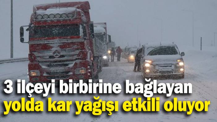 3 ilçeyi birbirine bağlayan yolda kar yağışı etkili oluyor