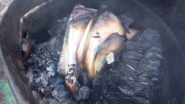 Kovada sakladığı 1 milyon lira kül oldu