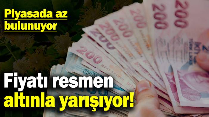 Kış aylarında yoğun ilgi gördü, fiyatı da şaşırtıcı derecede yükseldi!