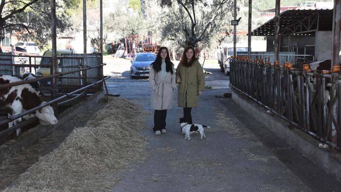 Üniversite mezunu kız kardeşler, devlet desteğiyle hayvancılık yapıyor!