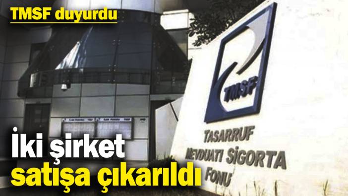 İki şirket satışa çıkarıldı! TMSF duyurdu
