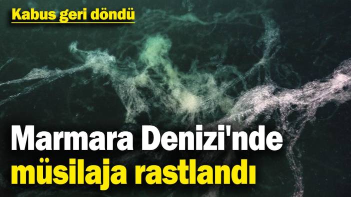 Kabus geri döndü: Marmara Denizi'nde müsilaja rastlandı
