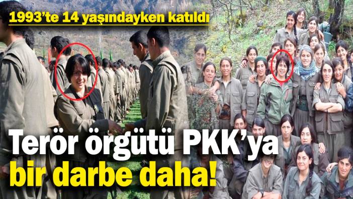 Terör örgütüne bir darbe daha! Nesrin Amed etkisiz hale getirildi