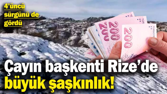 Çayın başkenti Rize'de büyük şaşkınlık! "İklim krizinin çaya olumlu etkisi oldu"