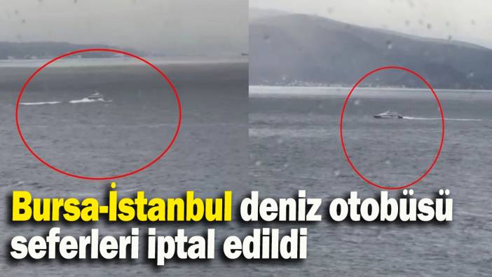 Bursa-İstanbul deniz otobüsü  seferleri iptal edildi