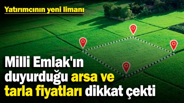 Milli Emlak'ın duyurduğu arsa ve tarla fiyatları dikkat çekti! Yatırımcının yeni limanı