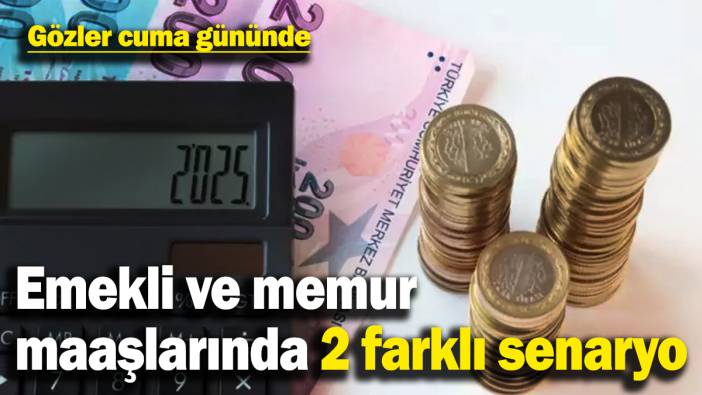 Milyonların gözü kulağı bu haberde! Emekli ve memur maaşında 2 farklı senaryo