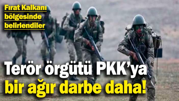 Terör örgütü PKK'ya bir ağır darbe daha! Etkisiz hale getirildiler