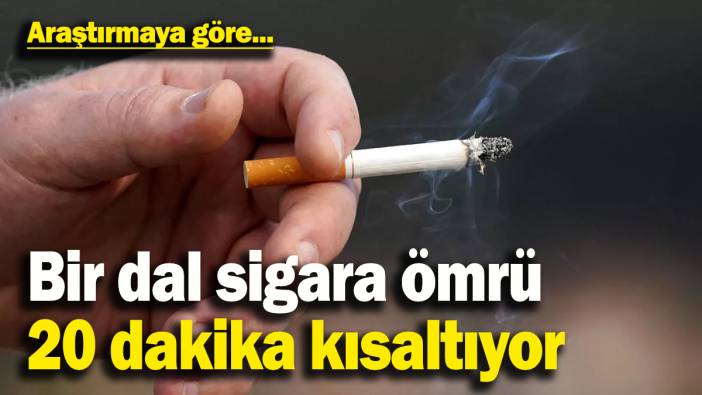 Yapılan bir araştırmaya göre bir dal sigara ömrü 20 dakika kısaltıyor