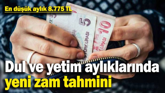 Dul ve yetim aylıklarında yeni zam tahmini! Emekliye yüzde 17 zam yapılırsa...