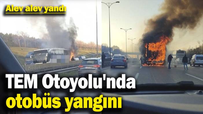 Son dakika… TEM’de otobüs yangını