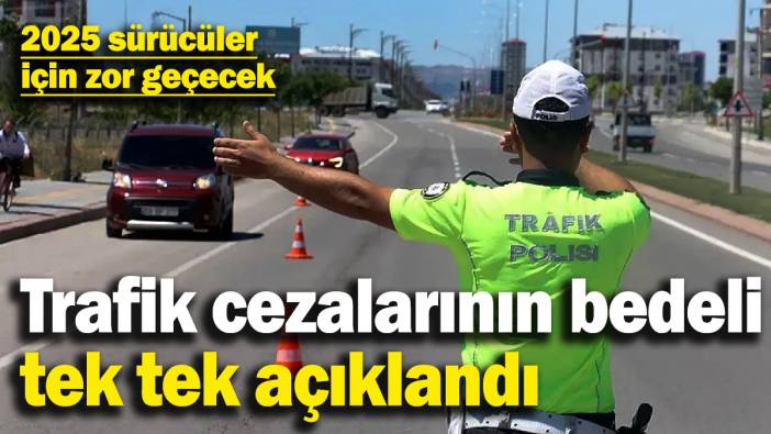 2025 sürücüler için zor geçecek! Trafik cezalarının bedeli tek tek açıklandı