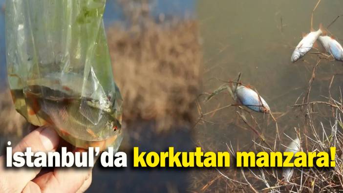 İstanbul’da korkutan manzara!