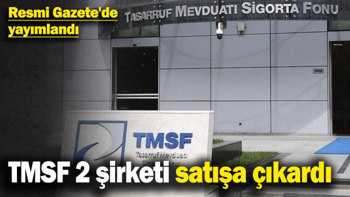 TMSF 2 şirketi satışa çıkardı! Resmi Gazete'de yayımlandı