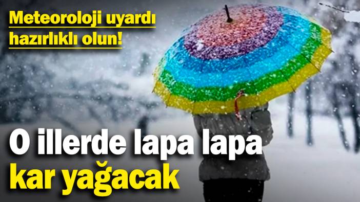 Meteoroloji uyardı, hazırlıklı olun! O illerde lapa lapa kar yağacak (13 Ocak 2025)