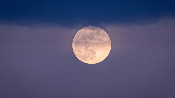 Kurt Ay Hatay’da görüldü