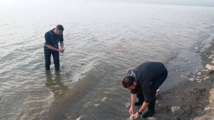 Bir zamanlar balık bile bulunamıyordu: Erçek Gölü şimdi balıkçıların geçim kaynağı