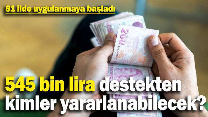 81 ilde uygulanmaya başladı! Toplamda 545 bin lira destek için istenilen şartlar neler?