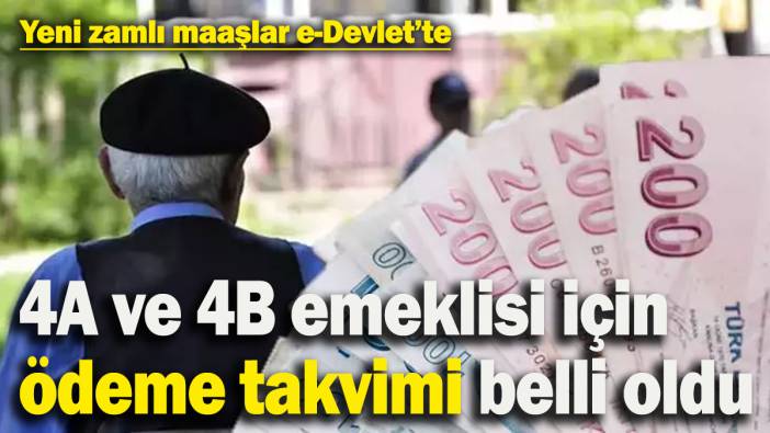 Zamlı emekli maaşları e-Devlet'te!  4A ve 4B emeklisinin ödeme takvimi belli oldu