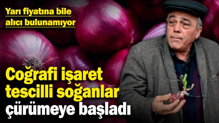Coğrafi işaret tescilli soğanlar çürümeye başladı! Yarı fiyatına bile alıcı bulunamıyor