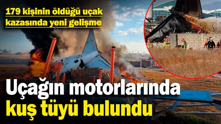 Güney Kore'de 179 kişinin öldüğü uçak kazasında yeni gelişme! Uçağın motorlarında kuş tüyü bulundu