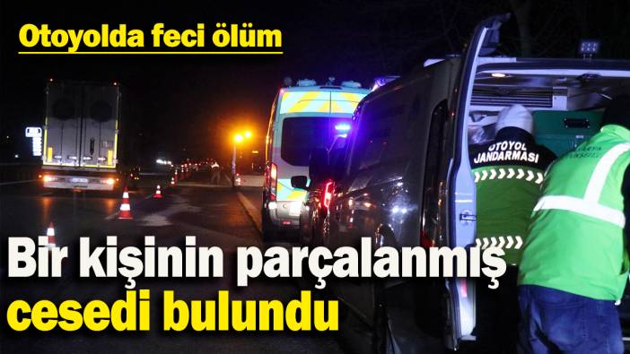 Otoyolda feci ölüm: Bir kişinin parçalanmış cesedi bulundu