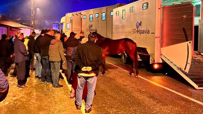 Edirne'de milyonluk atları taşıyan tır kazaya karıştı