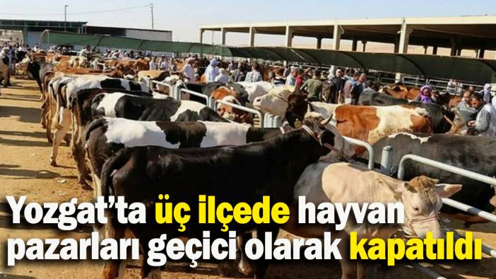 Yozgat’ta üç ilçede hayvan pazarları geçici olarak kapatıldı