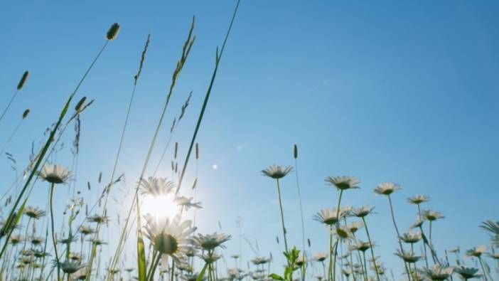 Cemre Ne Zaman Düşecek?