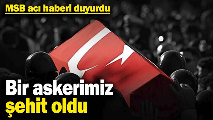 MSB acı haberi duyurdu: Bir askerimiz şehit oldu