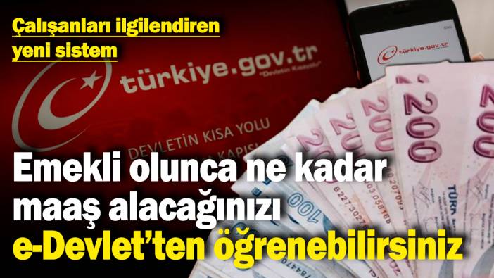 Çalışanları ilgilendiren yeni sistem! Emekli olunca ne kadar maaş alacağınızı e-Devlet’ten öğrenebilirsiniz