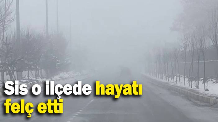 Sis o ilçede hayatı felç etti