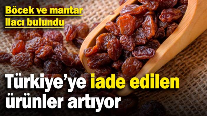 Türkiye'ye geri gönderilen ürünler artıyor! Böcek ve mantar ilacı bulundu