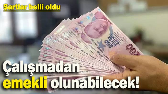 Çalışmadan emekli olunabilecek! Şartlar ve detaylar belli oldu