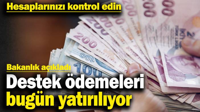 Destek ödemeleri bugün yatırılıyor! Hesaplarınızı kontrol edin. Bakanlık duyurdu