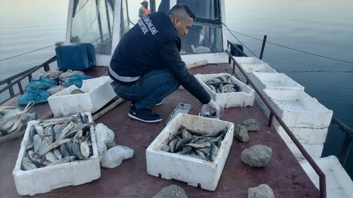 Bir zamanlar tek bir balığın olmadığı Erçek’te inci kefali bolluğu yaşanıyor