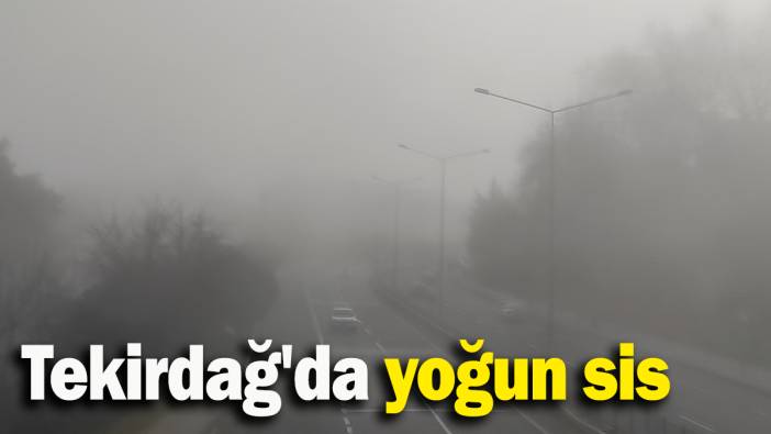 Tekirdağ'da yoğun sis