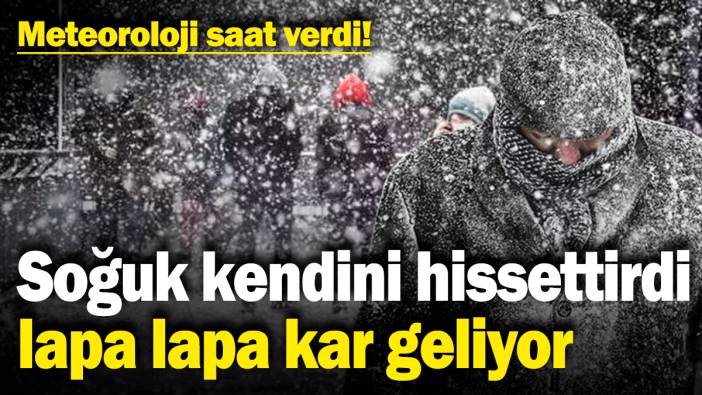 Meteoroloji saat verdi! Soğuk kendini hissettirdi, lapa lapa kar geliyor ( 4 Şubat 2025)