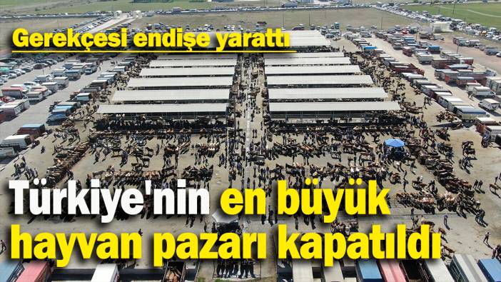 Türkiye'nin en büyük  hayvan pazarı kapatıldı: Gerekçesi endişe yarattı