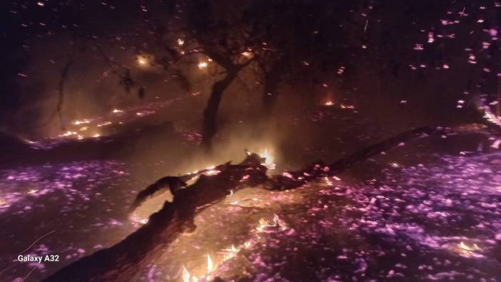 Bandırma’da çamlık alanda yangın: Ekiplerin hızlı müdahalesiyle söndürüldü