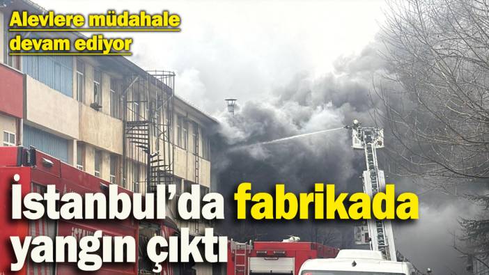 İstanbul’da fabrikada yangın çıktı! Alevlere müdahale devam ediyor