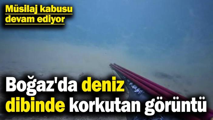 Boğaz'da deniz dibinde korkutan görüntü! Müsilaj kabusu devam ediyor