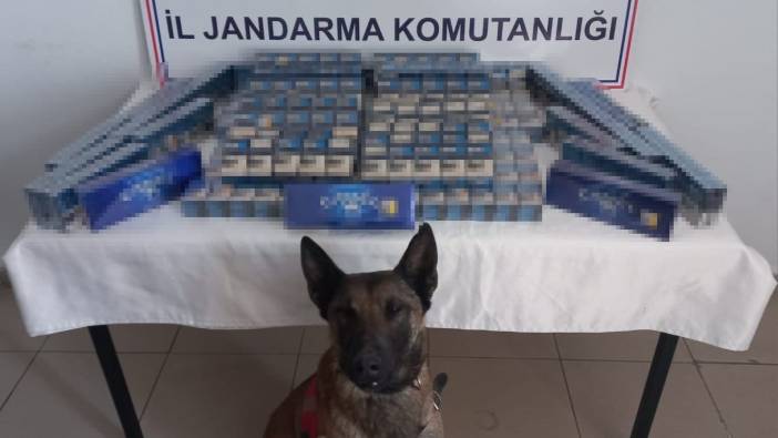 Ağrı'da 6 bin 548 paket kaçak sigara ele geçirildi