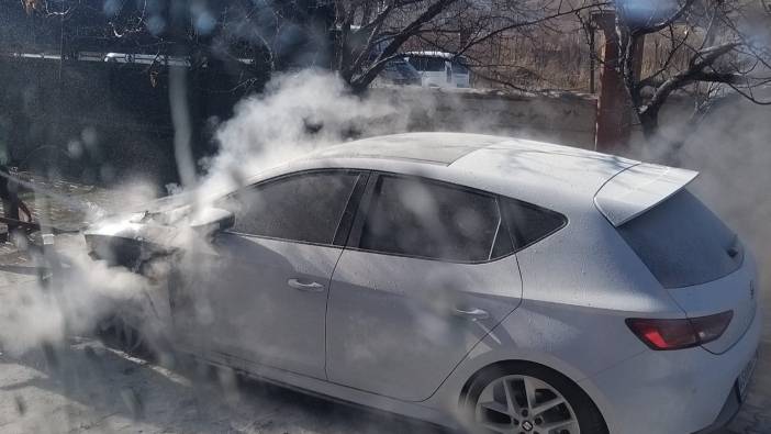 Van'da park halindeki otomobil yandı